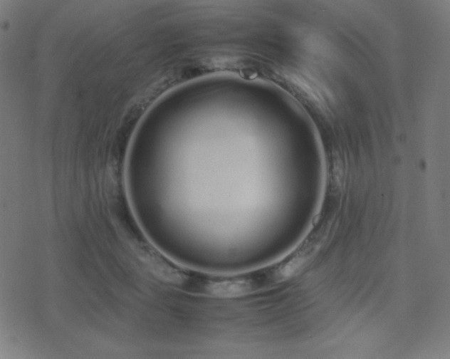 X0000075390461200609081234