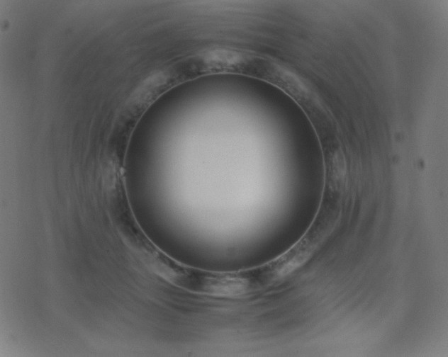 X0000075390463200609081234