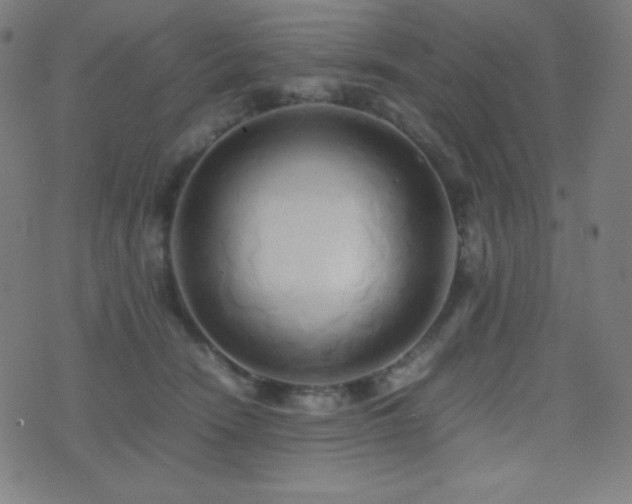 X0000075390466200609081234