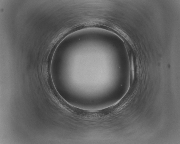 X0000075390485200609081234