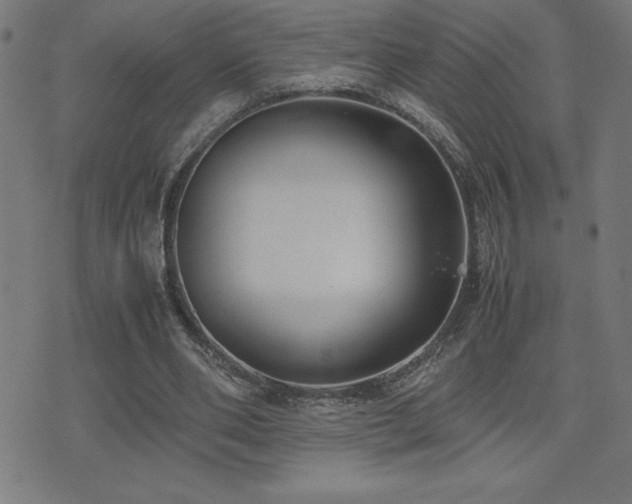 X0000075390486200609081234