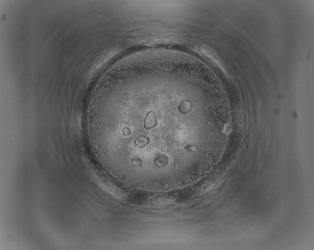 X0000075390491200609081233