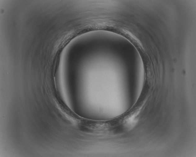 X0000075390493200609081233