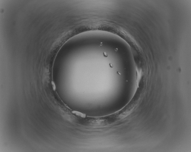 X0000075390497200609081233