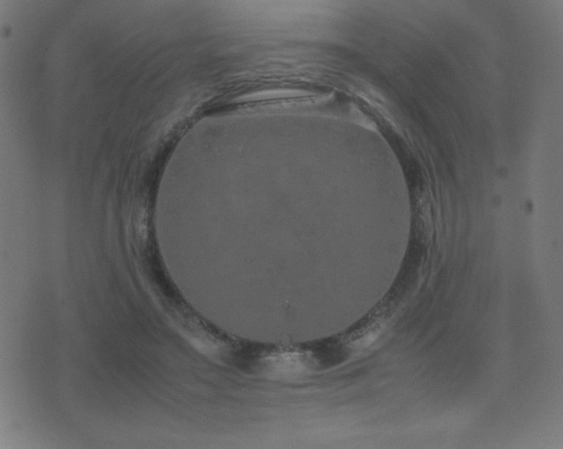 X0000075390499200609081233