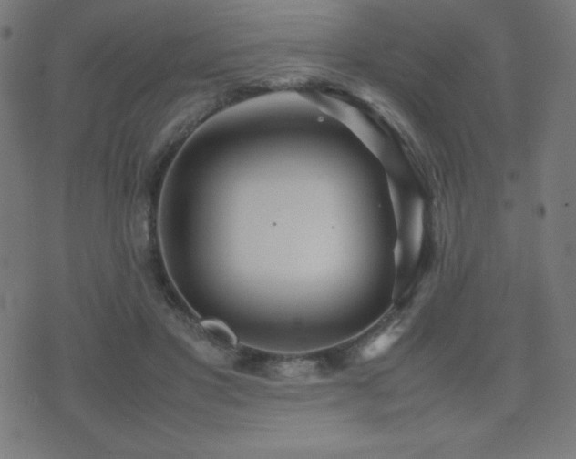 X0000075390501200609081233