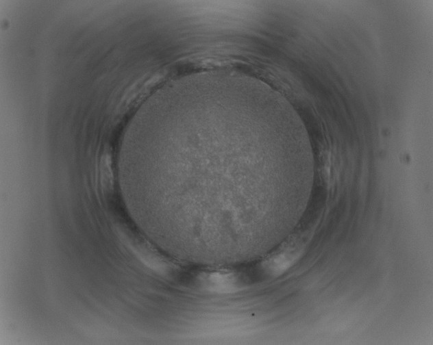 X0000075390506200609081233