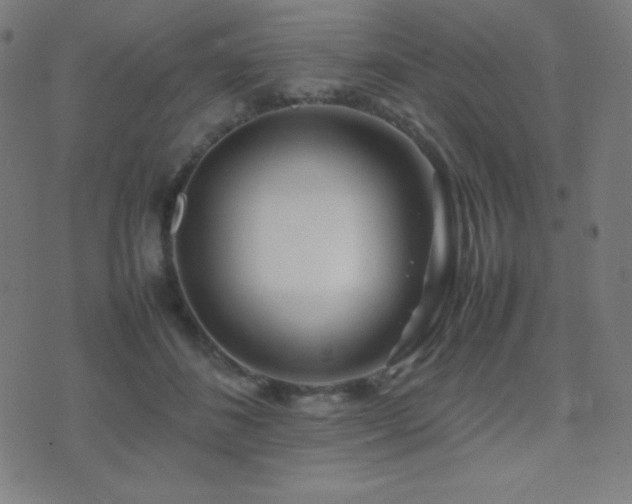 X0000075390508200609081233