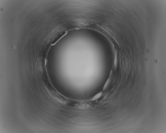 X0000075390512200609081233