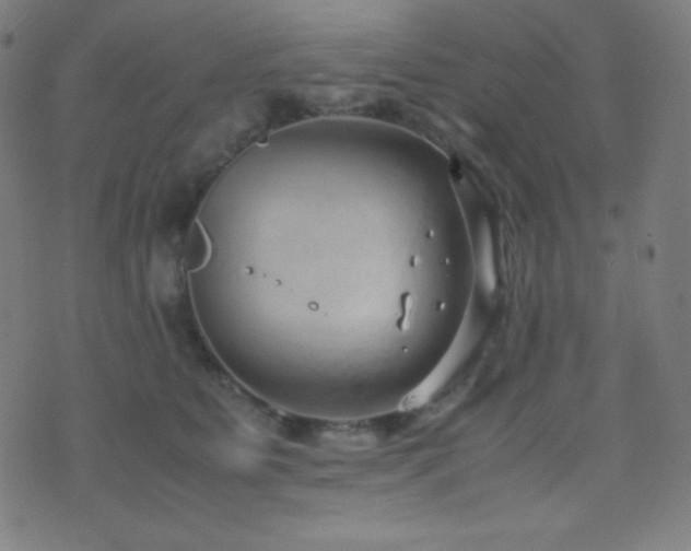 X0000075390515200609081233