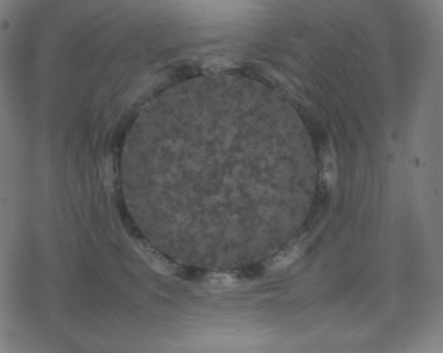 X0000075390519200609081233