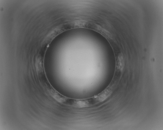 X0000075390522200609081233