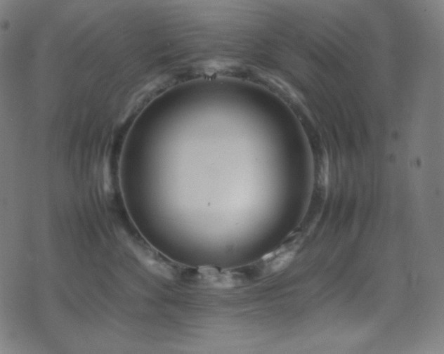 X0000075390524200609081233