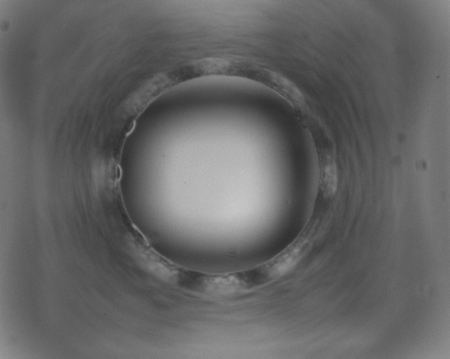 X0000075390525200609081233