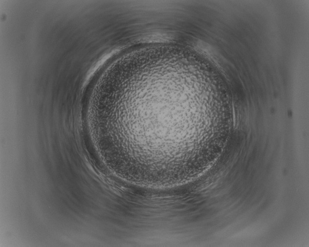 X0000075390531200609081232