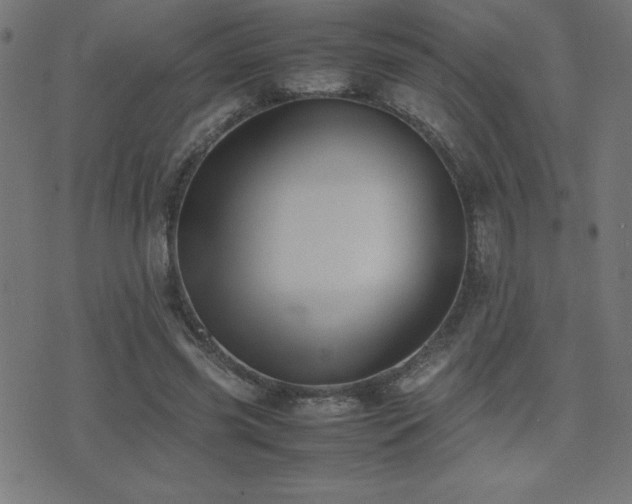 X0000075390541200609081232