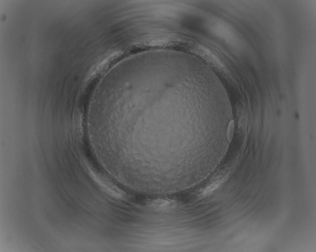 X0000075390542200609081232