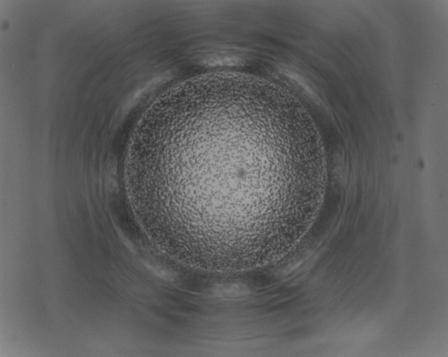 X0000075390547200609081232