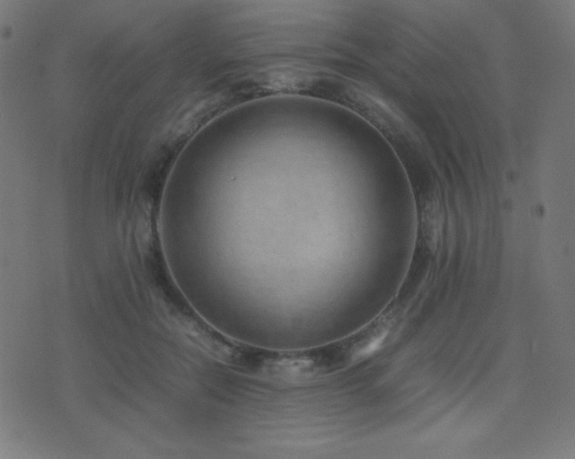 X0000075390554200609081233