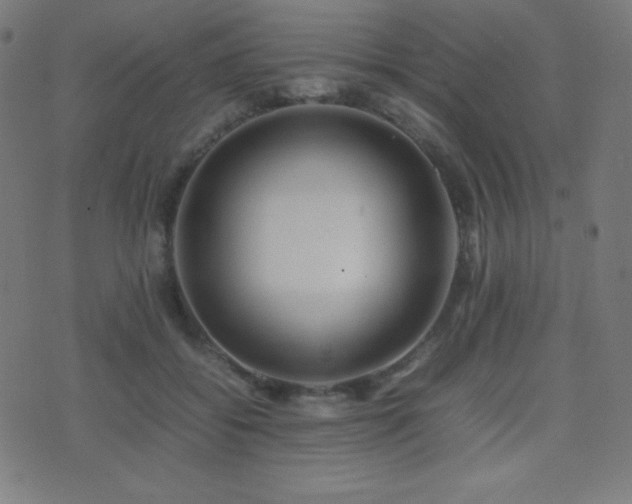 X0000075390556200609081233