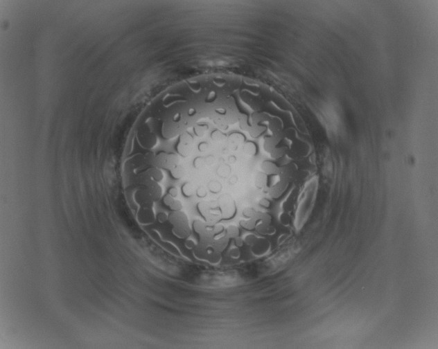 X0000075390559200609081233