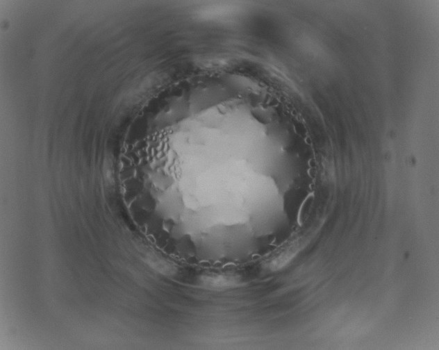X0000075390561200609081233