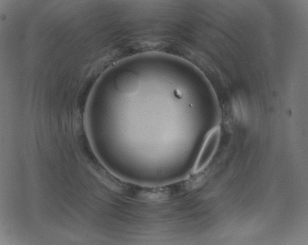 X0000075390563200609081233