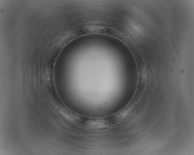 X0000075390567200609081233