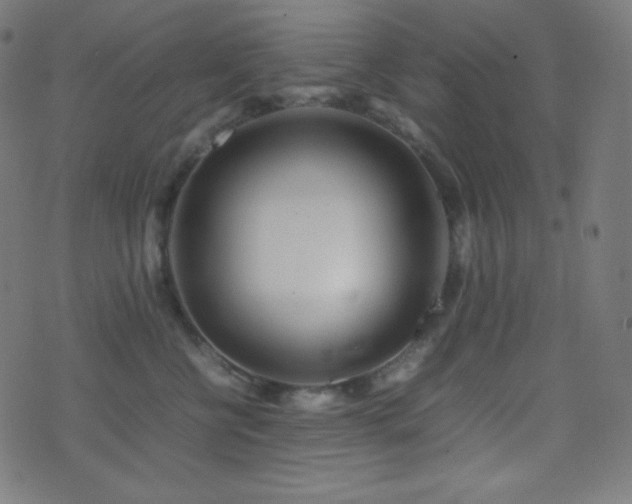 X0000075390570200609081233