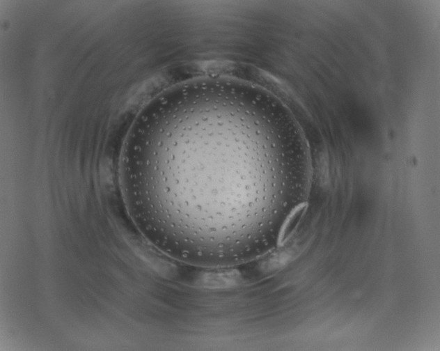 X0000075390571200609081233