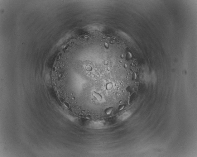 X0000075390573200609081233