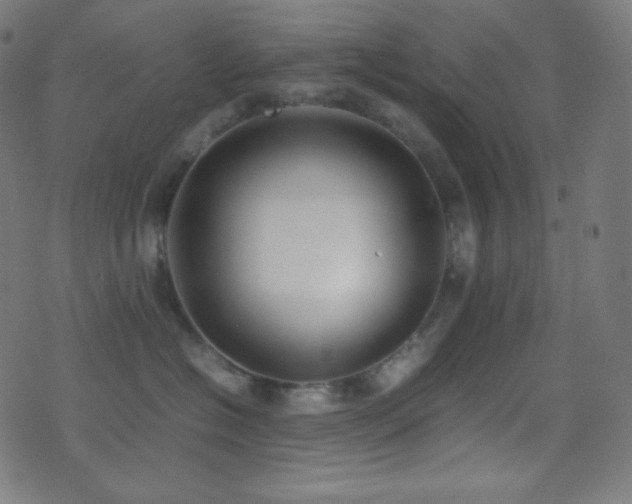 X0000075390574200609081233