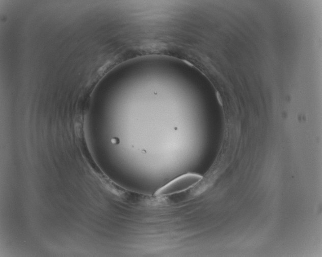 X0000075390576200609081233