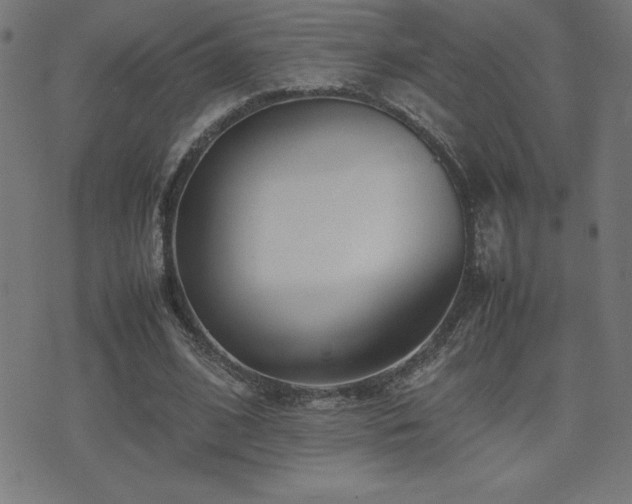 X0000075390584200609081232