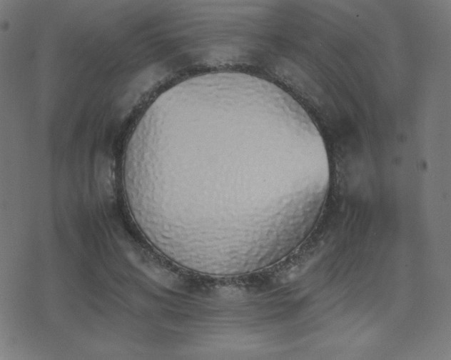 X0000075390592200609081232
