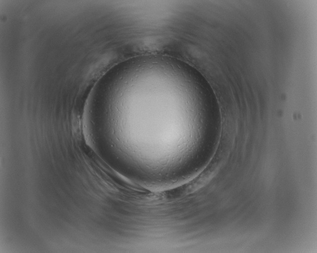 X0000075390624200609081231