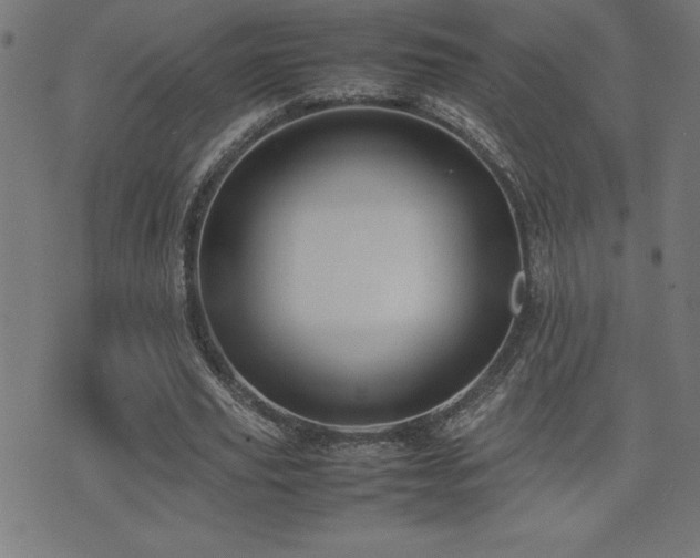 X0000075390629200609081231