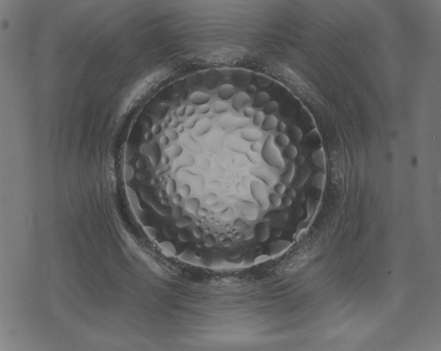X0000075390634200609081231