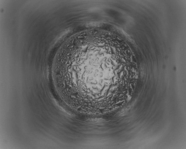 X0000075390637200609081231