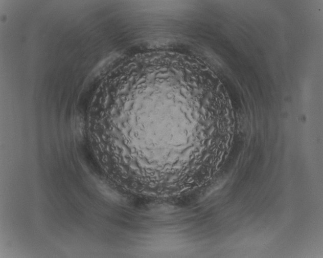 X0000075390648200609081231