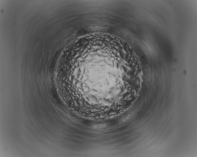 X0000075390653200609081231