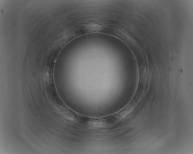 X0000075390655200609081231