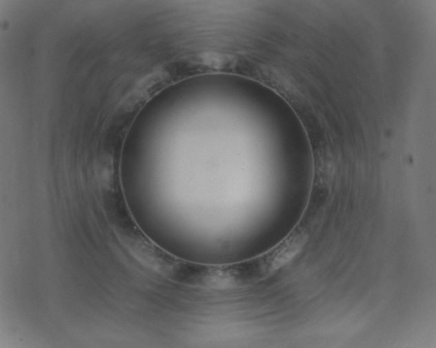 X0000075390656200609081231