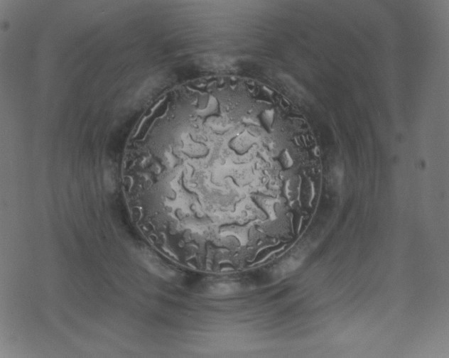 X0000075390658200609081231