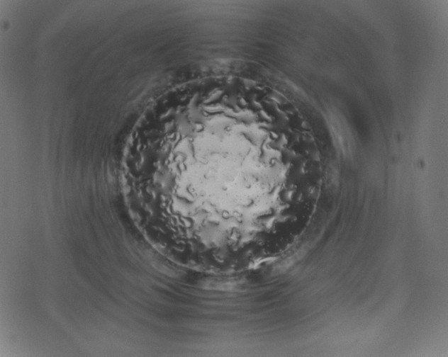 X0000075390661200609081231