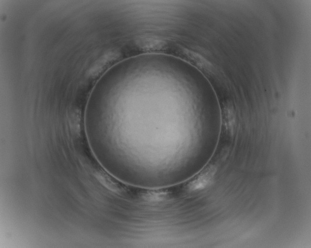 X0000075390664200609081231