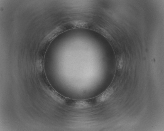 X0000075390666200609081231