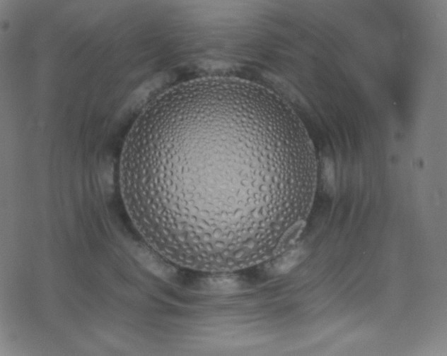 X0000075390668200609081231