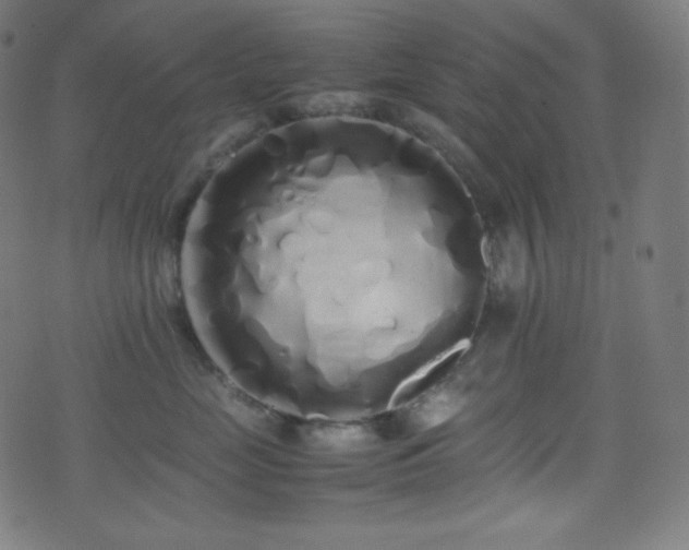 X0000075390669200609081231