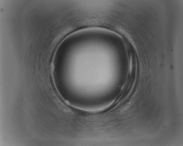 X0000075390673200609081231